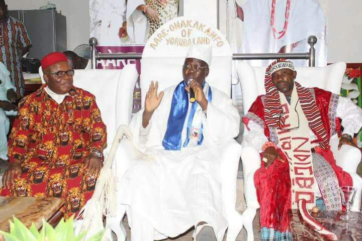 WhatsApp Image 2026-02-24 at 14.28.07